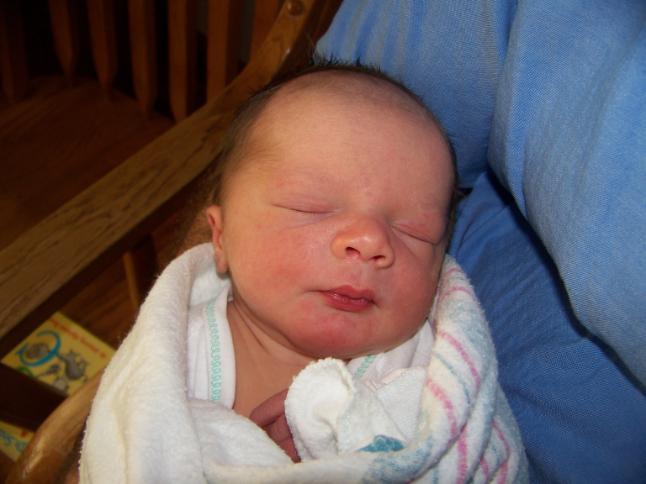 baby toby